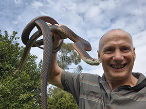 snake party shows Melbourne